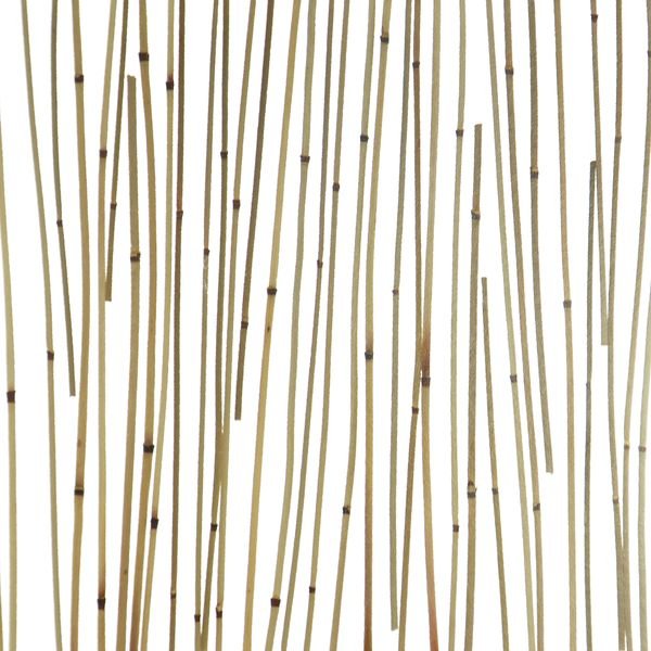 organic material resin panel Reed