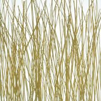 organic material resin panel Wood grass